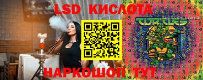 прущие крисы Камышлов