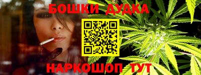 прущие крисы Камышлов