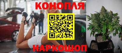 apvp Ирбит