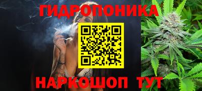 apvp Ирбит