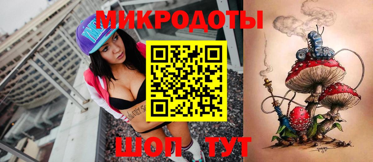 Псилоцибиновые грибы Psilocybine cubensis Лабинск